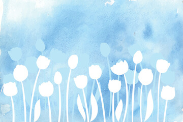 Spring flower for card, invitation, posters. White contour silhouette tulips on blue watercolor background. Transparent hand drawn pattern of garden meadow.