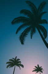 Palm trees and blue sky. Vector illustration. Sketch for creativity.
