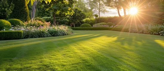 Poster At sunset, a well-kept lawn in a spacious garden, with golden light coming through a hedge in summer. © Sona