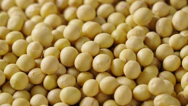 Dried soybeans seeds or soya background.