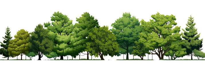 Illustration of the cartoons different trees on the transparent background