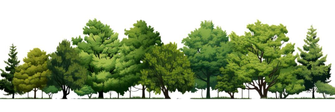 Illustration of the cartoons different trees on the transparent background