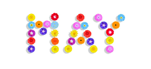 word written on white background with colorful flowers, Graphic, Illustration