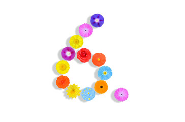 number  written on white background with colorful flowers, Graphic, Illustration