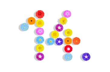number  written on white background with colorful flowers, Graphic, Illustration