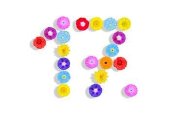 number  written on white background with colorful flowers, Graphic, Illustration