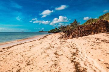 View of Malindi Beach with palm trees, coral rocks and mangrove tree at sunrise in Malindi Marine National Park, Kenya