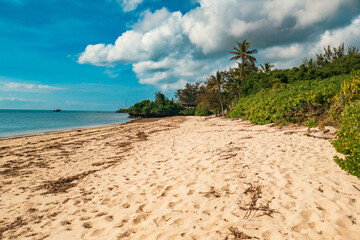 Scenic view of Malindi Beach with mangrove trees in the morning in Malindi, Kenya