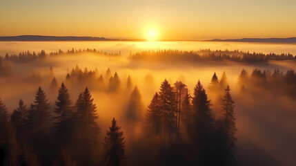 Obraz premium Magnificent sunrise at dawn