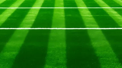 Photo sur Plexiglas Vert Green artificial grass with white corner lines