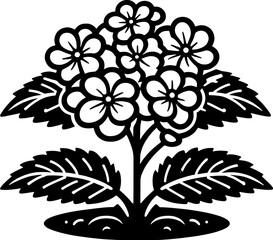 Hydrangeaceae Plant icon 18