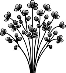 Himantandraceae Plant icon 13