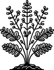 Obraz premium Himantandraceae Plant icon 9