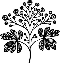 Himantandraceae Plant icon 5