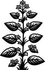 Helwingiaceae Plant icon