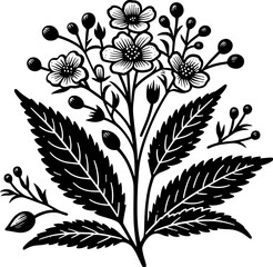 Helwingiaceae Plant icon 6
