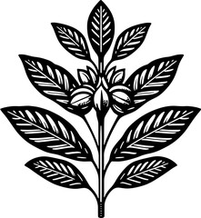 Hanguanaceae Plant icon 8