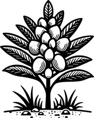 Hanguanaceae Plant icon 4