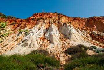 the wild nature in front of the gigantic dunes in Portugal