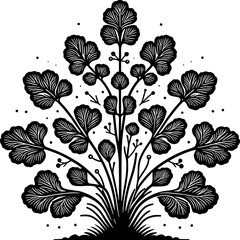 Haloragaceae Plant icon 14