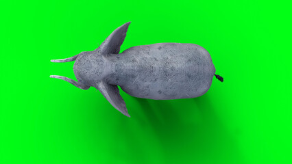 Fototapeta premium African elephant idle. 3d rendering.