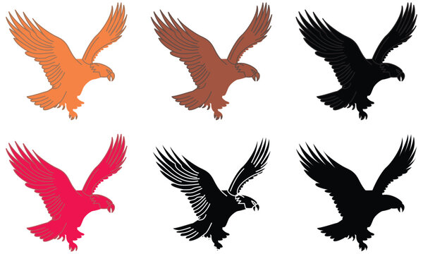 Silhouette of flying eagle. Eagle icon illustration isolated vector sign symbol