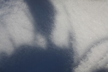 Snow details - Forest of Birse - Strachan - Scotland - UK