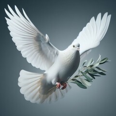 White dove with a green olive branch in its beak. Gray background, symbol of peace. 