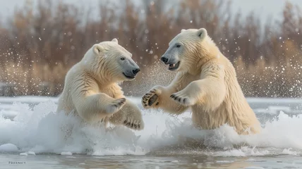 Fototapeten Graceful polar bears frolic in the icy waters, showcasing the majesty of these magnificent arctic mammals © mendor