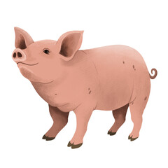 farm animal illustration in png format