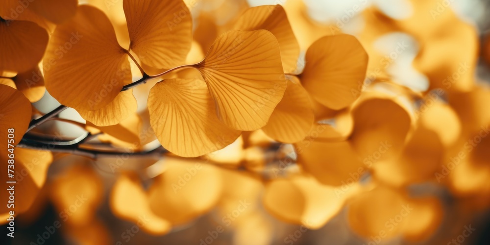 Aufkleber A close-up view of a plant with vibrant yellow leaves. This image can be used to add a touch of nature and color to various design projects