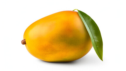 One whole mango fruit isolated on white background,Fresh sweet marian plum with leaf isolated on white background  Clipping path

