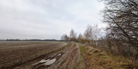 Walking through the forest, beautiful panorama.