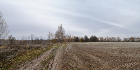 Walking through the forest, beautiful panorama.