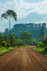 Dirt Road in Central Africa - 738663778