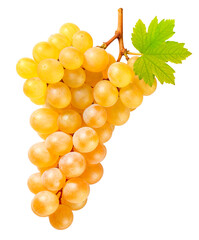 Yellow grape bunch isolated on white background