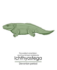 Ichthyostega is the earliest amphibian and four-limbed vertebrate from Devonian period. Colorful illustration on a white background