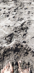 a pair of feet on the black sand of the beach