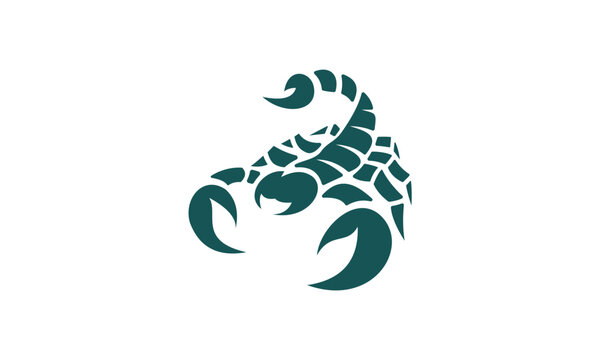 vector of scorpion animal logo