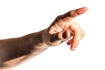 Detailed human hand in a pointing gesture, isolated against a white backdrop. Direction concept