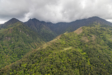 Fototapeta na wymiar High mountains slopes covered in thick virgin forest and shrouded in cloud near the small village of senge near tawang in western arunachal pradesh, India.