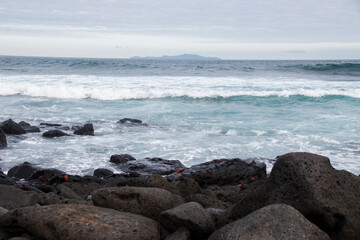 Fototapeta na wymiar Islas Galápagos 