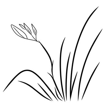 grass line drawing icon illustration design 