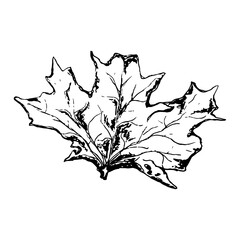 Naklejka premium background for print design. Hand drawn black illustration.