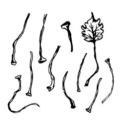 Hand drawn black leaves. Vintage leaf, great design for any purposes.