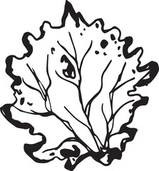 Hand drawn black leaves. Vintage leaf, great design for any purposes.