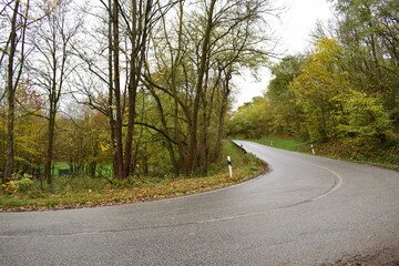 Fototapeta premium wet curvy autumn road
