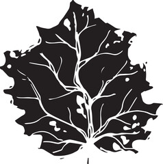 Hand drawn black leaves. Vintage leaf, great design for any purposes.