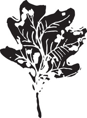 Hand drawn black leaves. Vintage leaf, great design for any purposes.