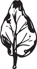 Hand drawn black leaves. Vintage leaf, great design for any purposes.